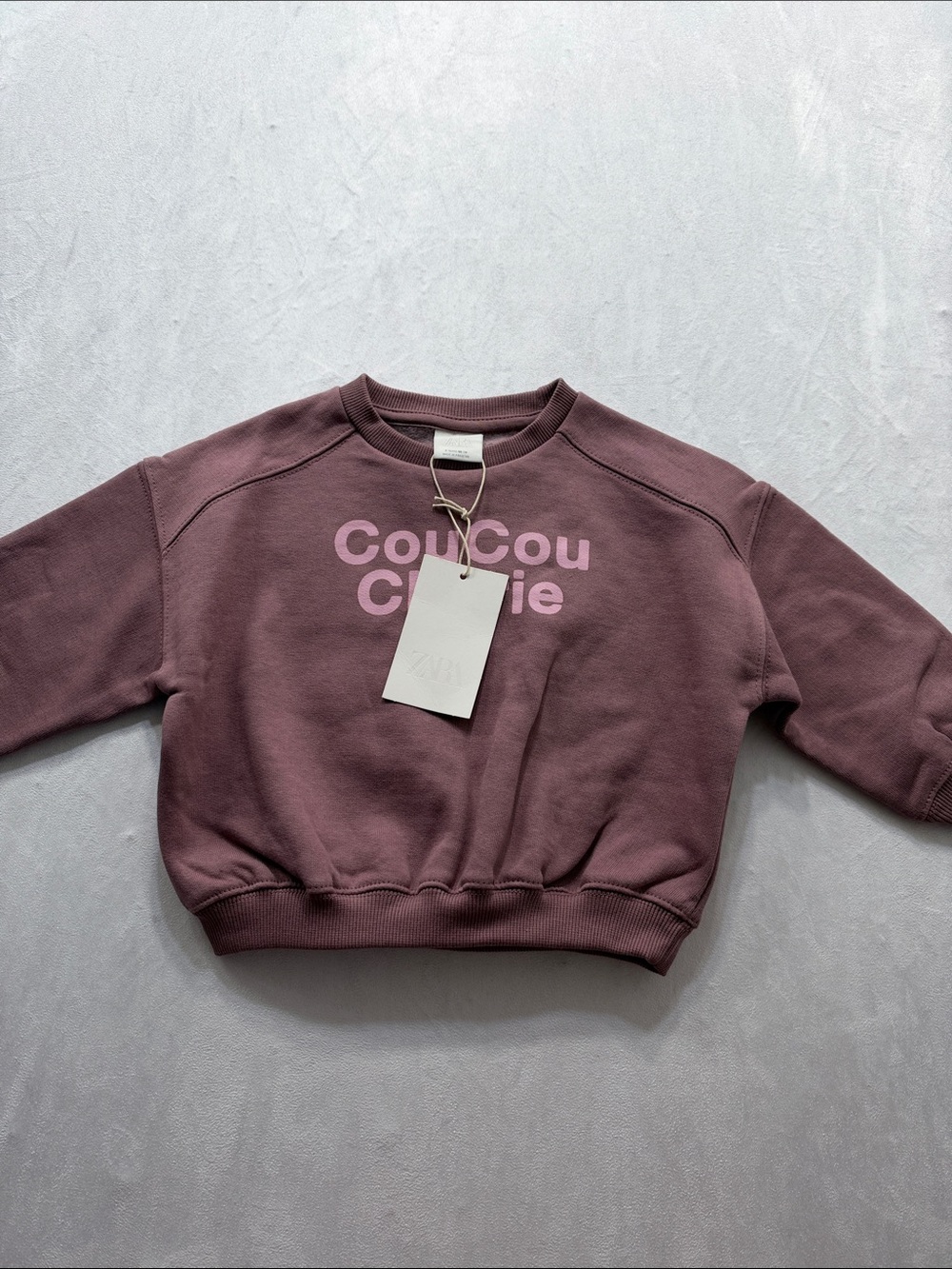 Zara Mauve Pullover Sweatshirt with Pink Logo Sizes: 3, 4 NWT